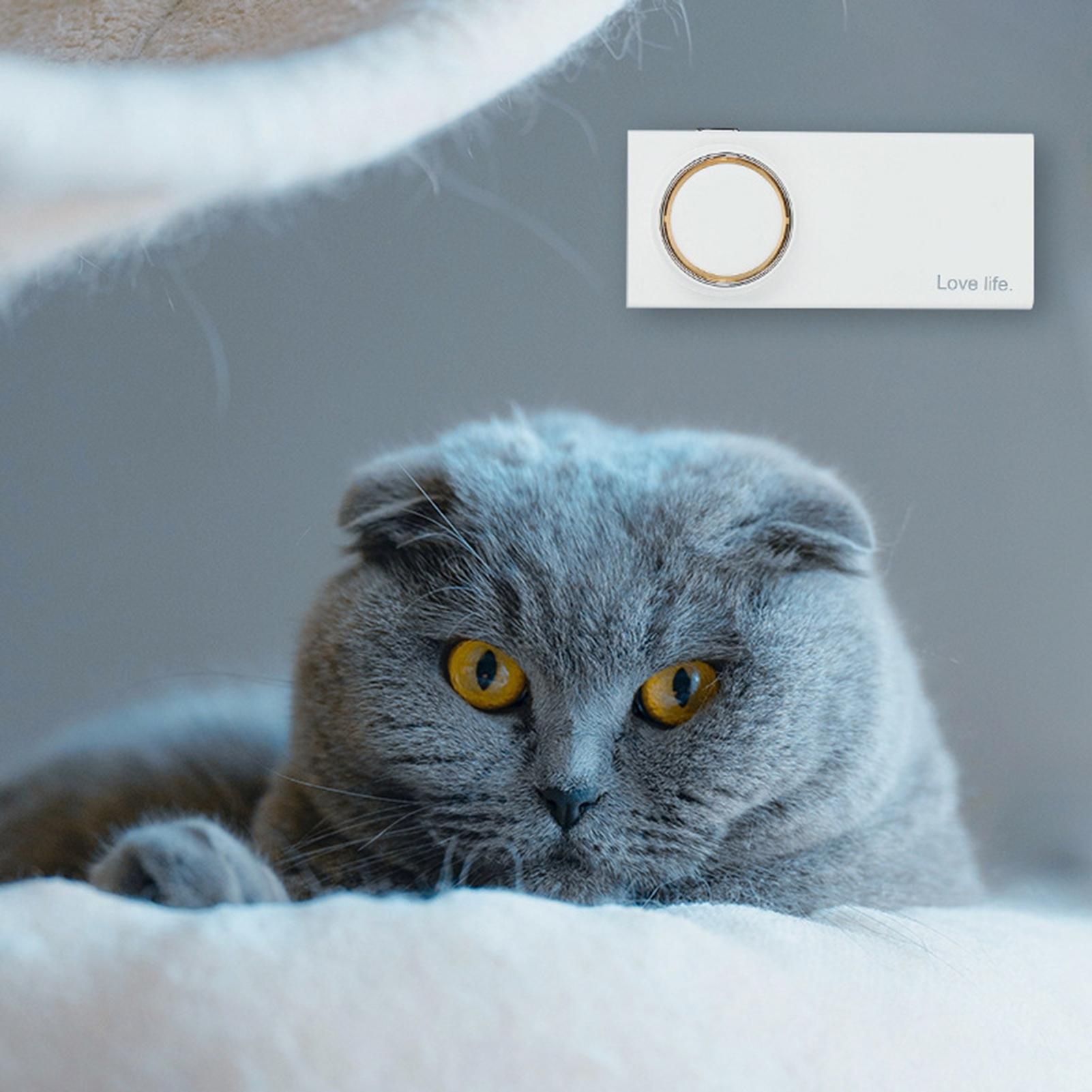 Fridge Odor Eliminator Cabinet - Kitchen Gadgets Cabinet 评论和价格